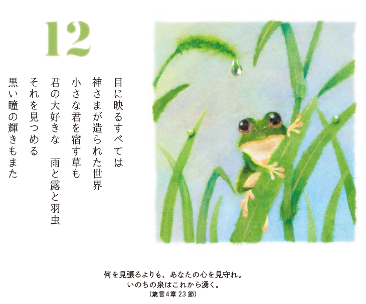 スクリーンショット かえる君
